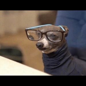 Meet your Posher, Daniela